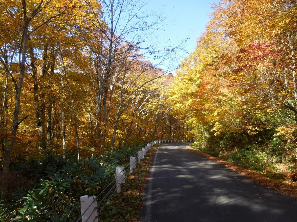 Shiga Park Yamanouchi (Nagano)