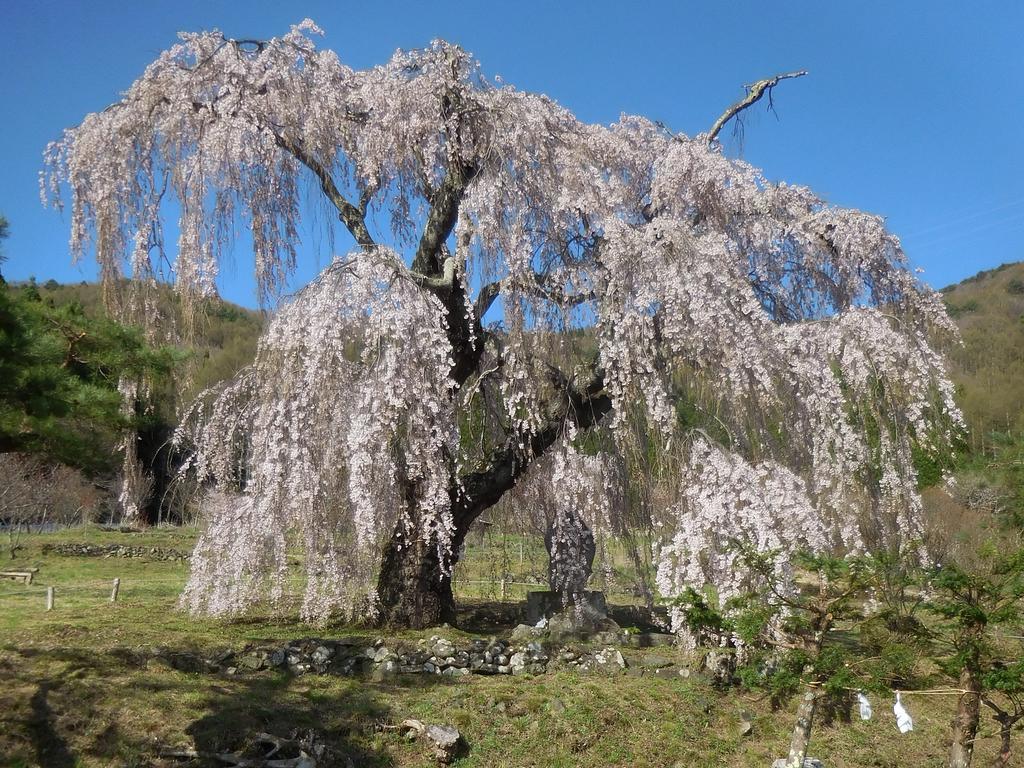Shiga Park